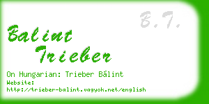 balint trieber business card